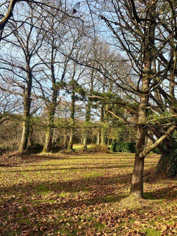 Maison à SAINT-MAYEUX