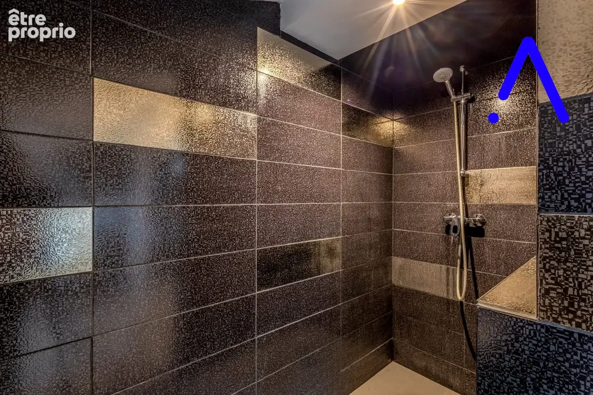 Maison 275 m² à Luneville  - photo 6