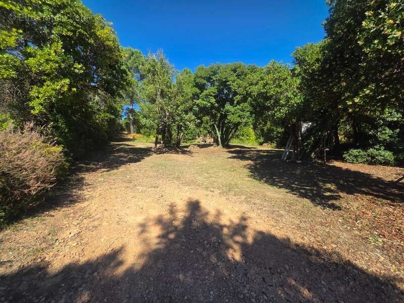 Maison à DURFORT-ET-SAINT-MARTIN-DE-SOSSENAC