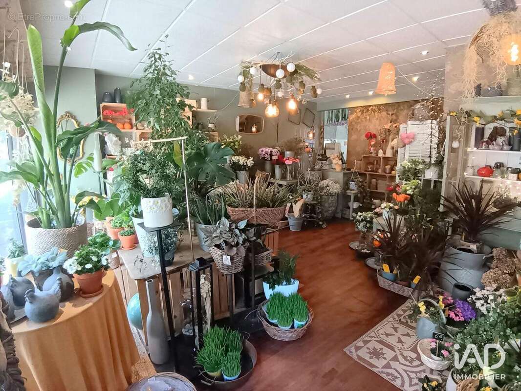 Photo 1 - Commerce à LORIENT