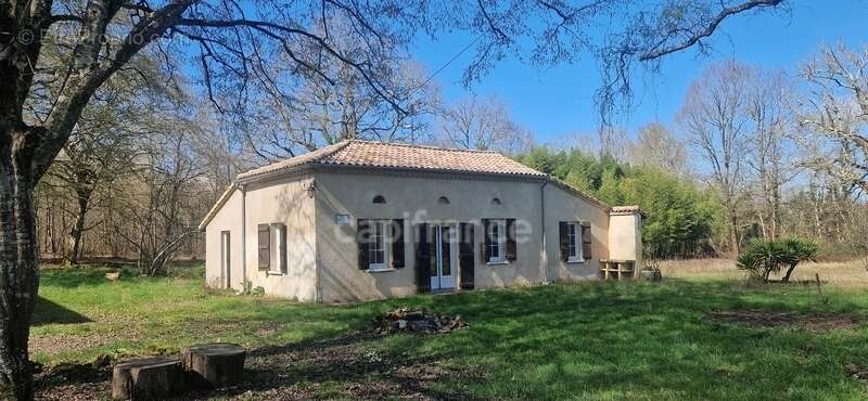 Maison à vendre 3 pièces ESCALANS (40) - photo 2