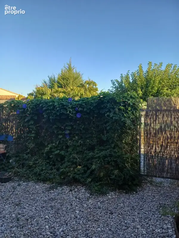 EXCLUSIVITE 20mn NARBONNE - Maison 2 chambres, jardin double parking - South of France, Near Middle and High S - photo 21