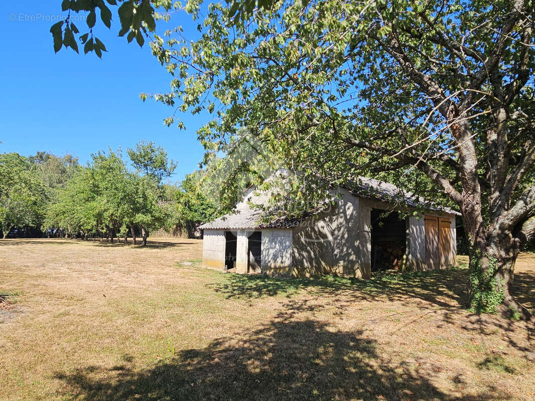 Maison élevée sur sous-sol - Saint Léon - photo 20