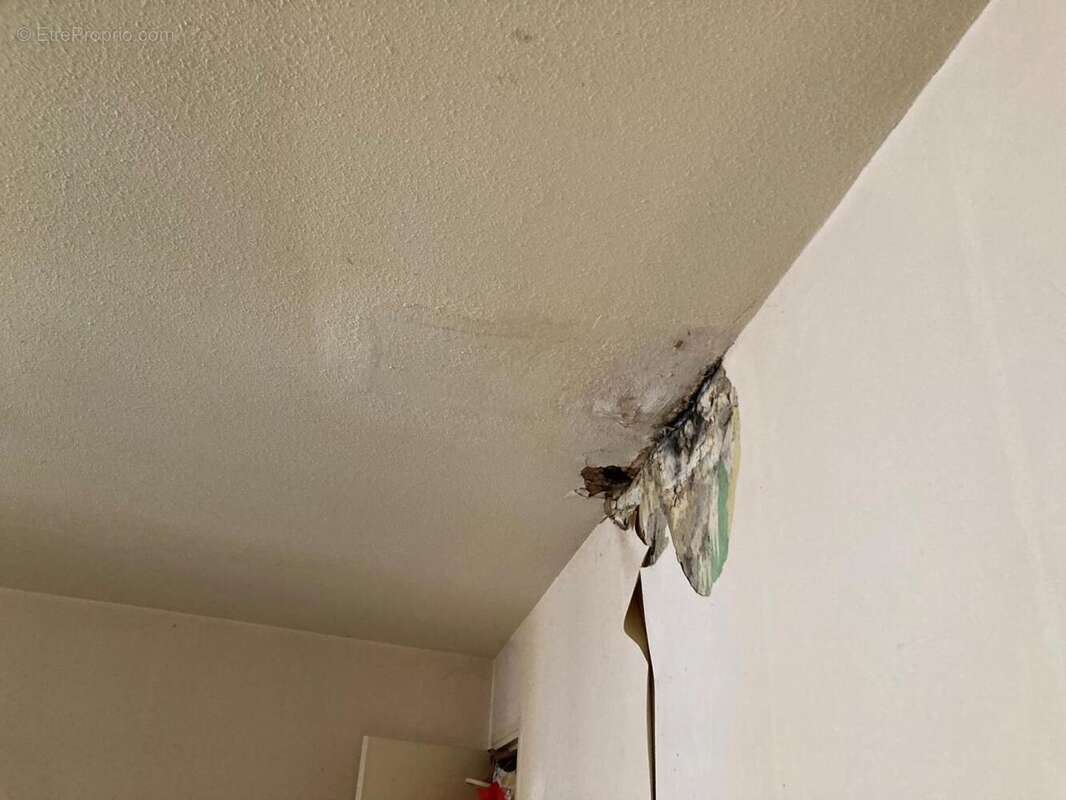 ch degat des eaux appart  2 etage gauche - Maison à CAHORS