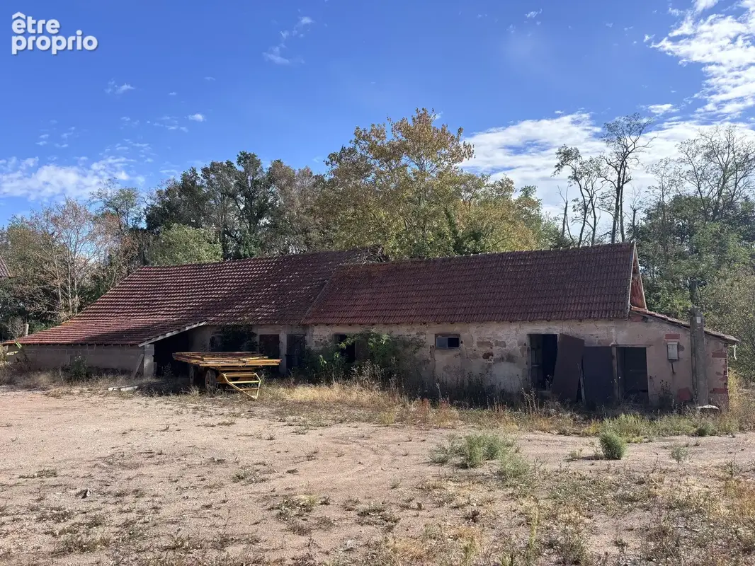 Le Donjon - Ferme à rénover avec une grande grange et des dépendances, sur un terrain de plus de 3 hectares co - photo 27