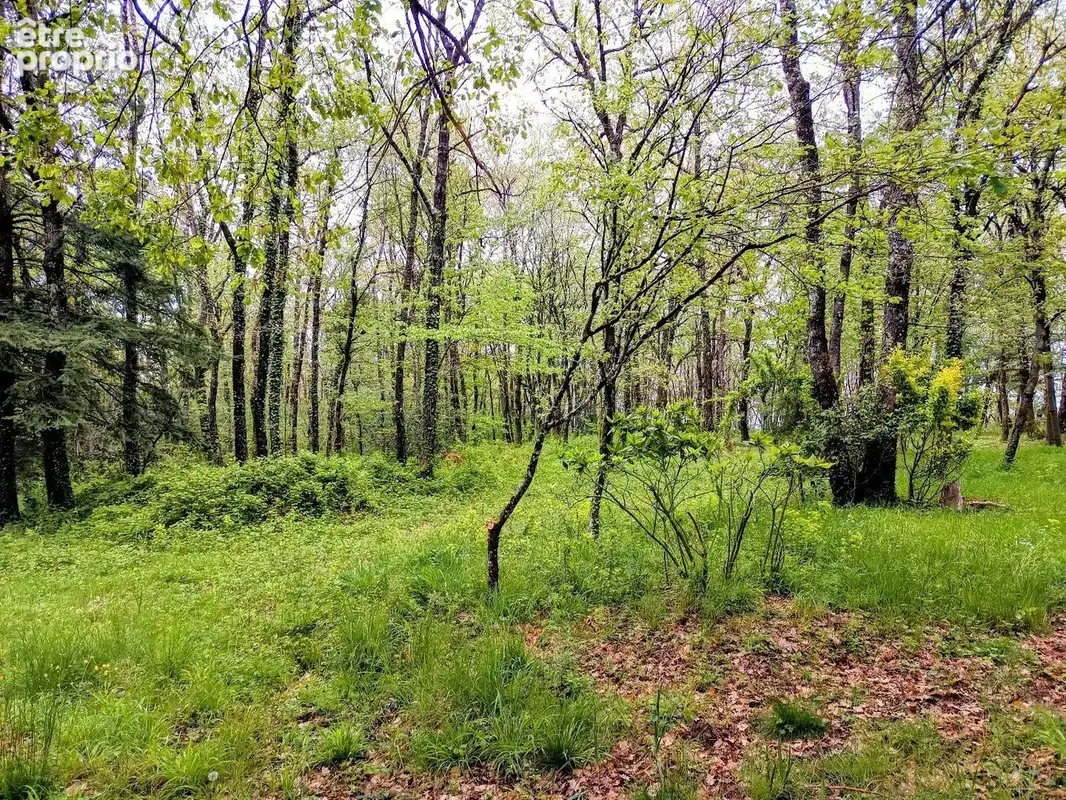 Maison 249 M2 avec terrain - photo 15