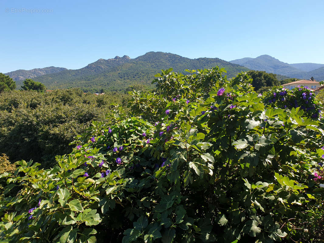 Appartement à SOREDE