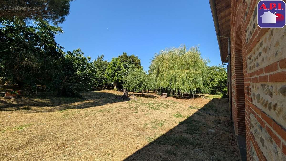 Maison 650 m² à Montgiscard  - photo 16