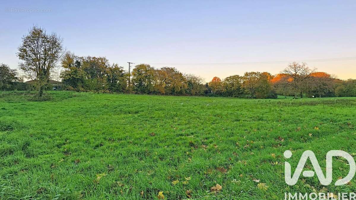 Photo 7 - Terrain à MONTAGNAT