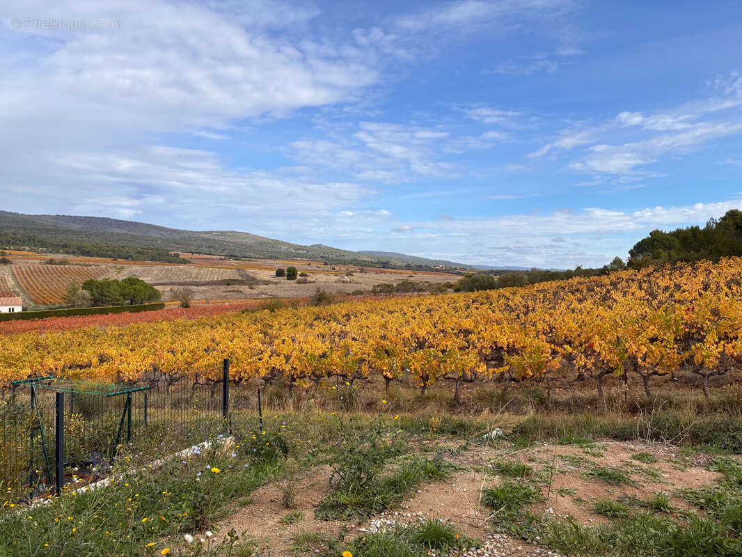 Maison à VILLENEUVE-MINERVOIS