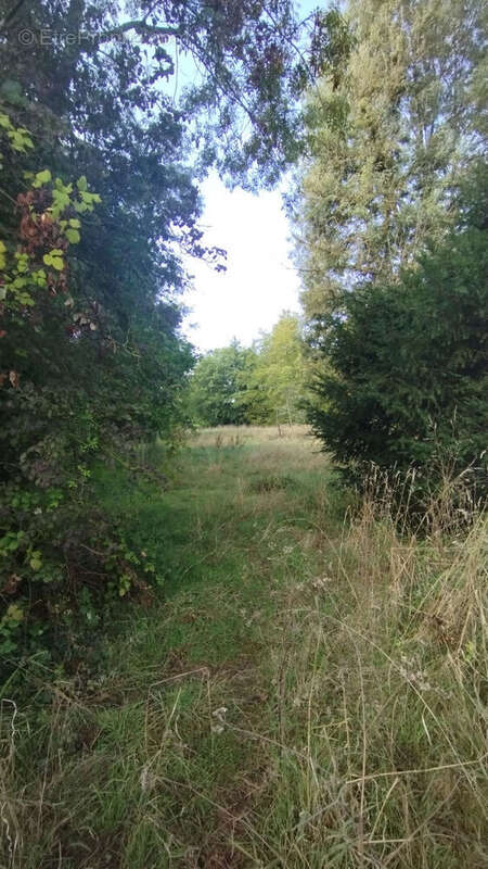 Terrain à BOUSSAY