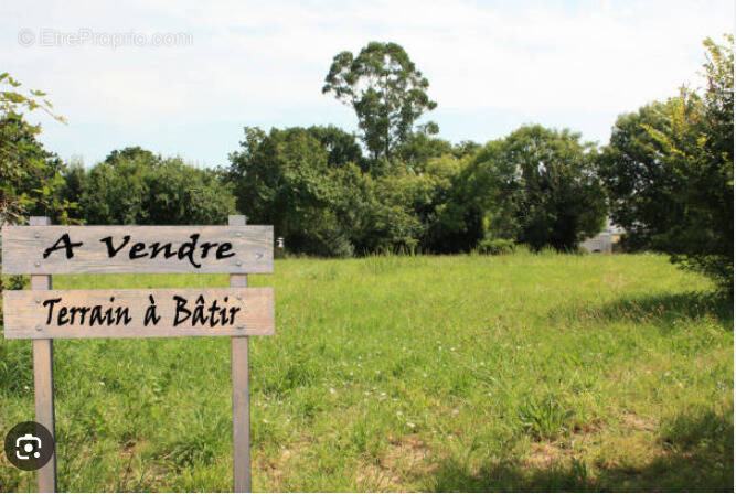 Terrain à PESSINES