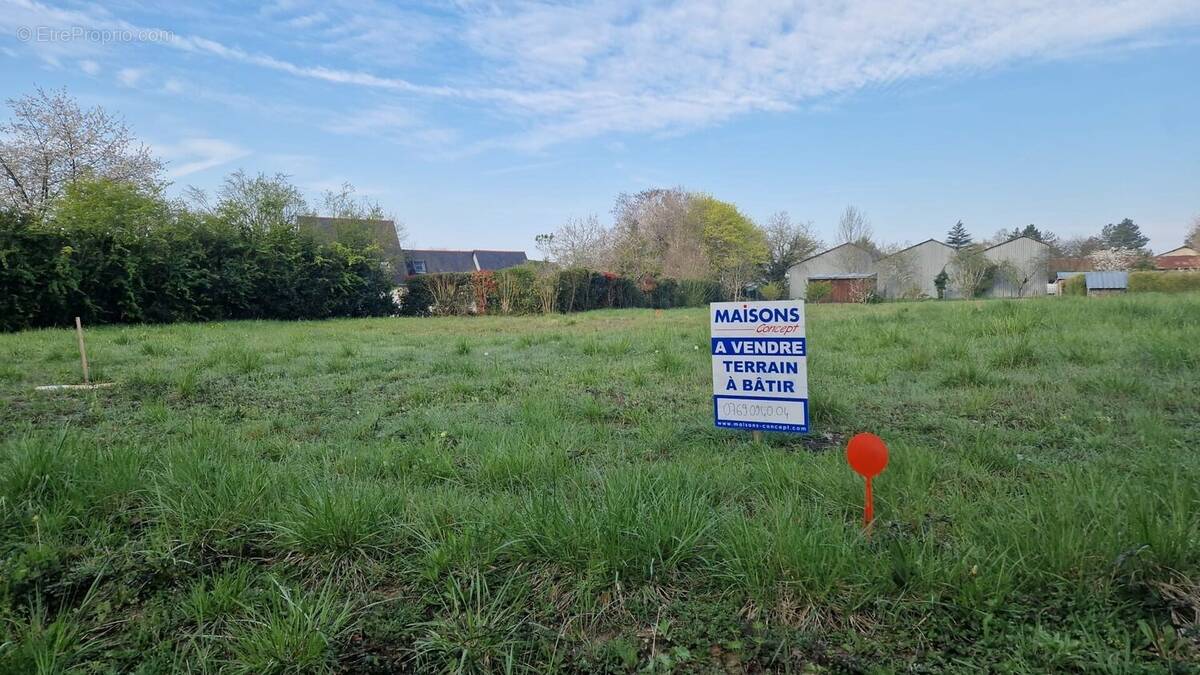 Terrain à MARTIGNE-BRIAND