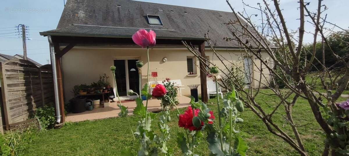 Photo 5 - Maison à SAVIGNE-SUR-LATHAN