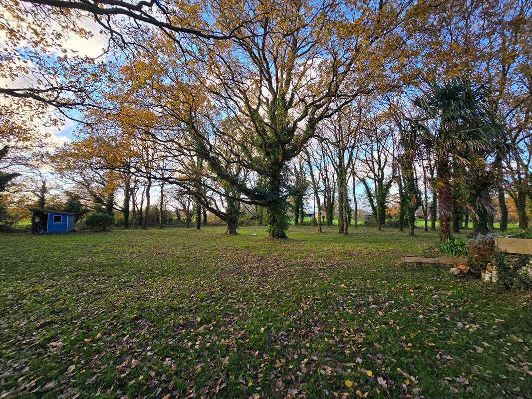 Maison à SAINT-MOLF