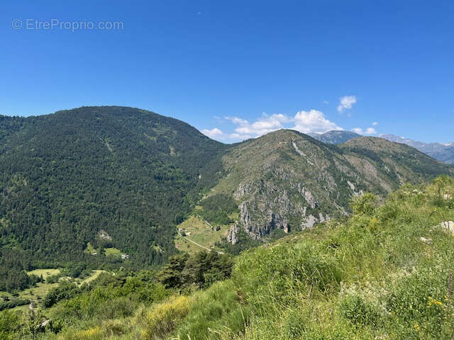 Chalet bois + terrain attenant d'un hectare et demi - photo 7