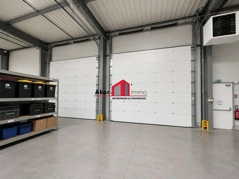 Commerce 982 m² à Moneteau  - photo 7