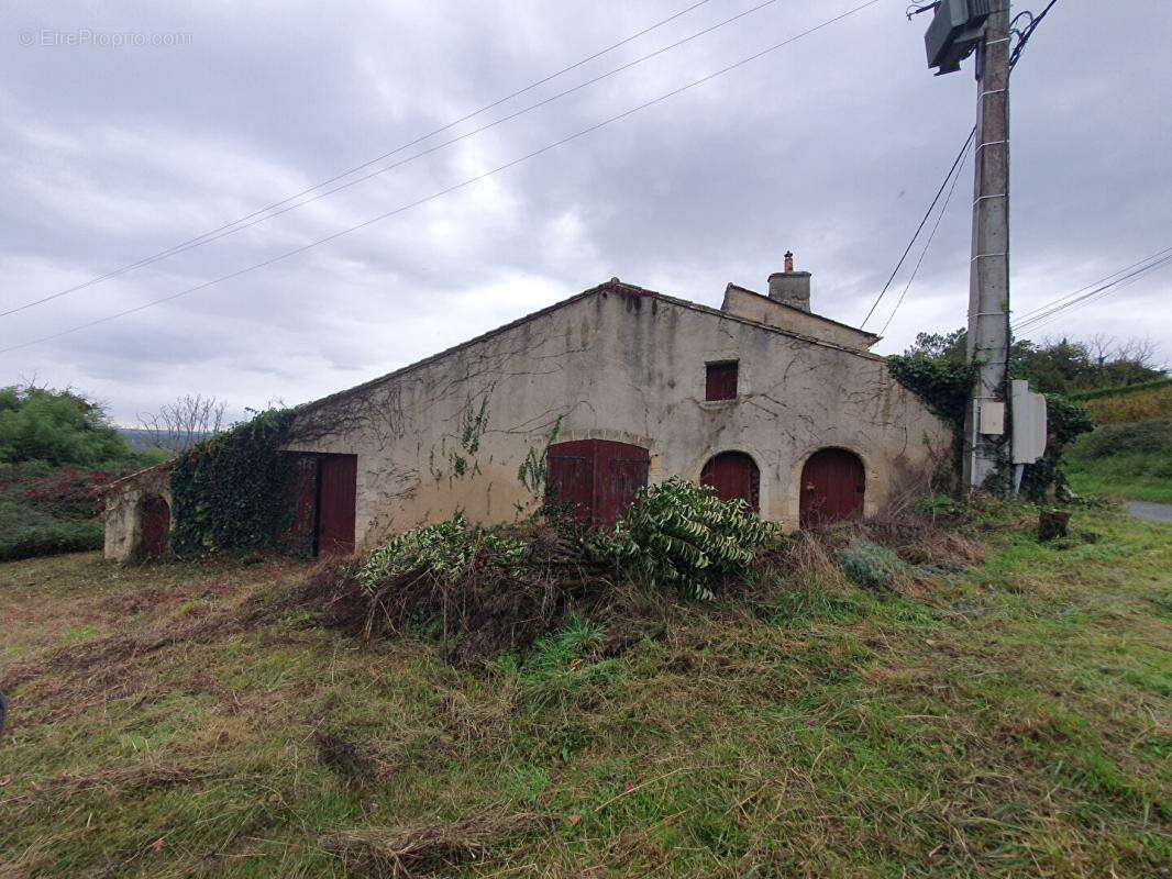 Commerce à RIONS