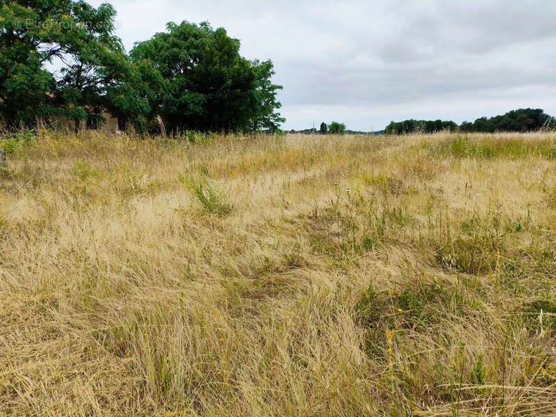 Terrain à vendre 4000m2 dont 1000m2 constructible SAINT HILAIRE DU BOIS (17) - photo 2