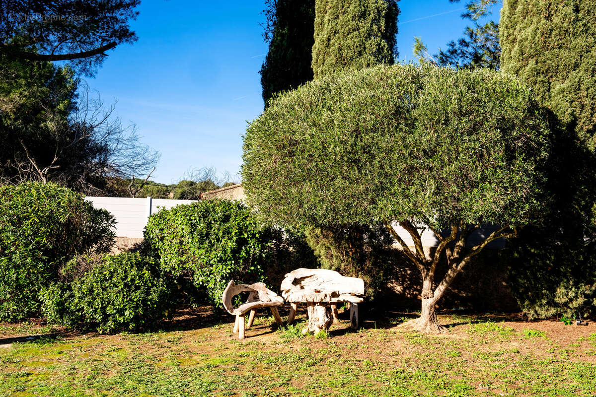 La seyne-sur-mer, janas, superbe villa d' architecte de 256 m2 sur terrain arbore de 3080 m2 - photo 13