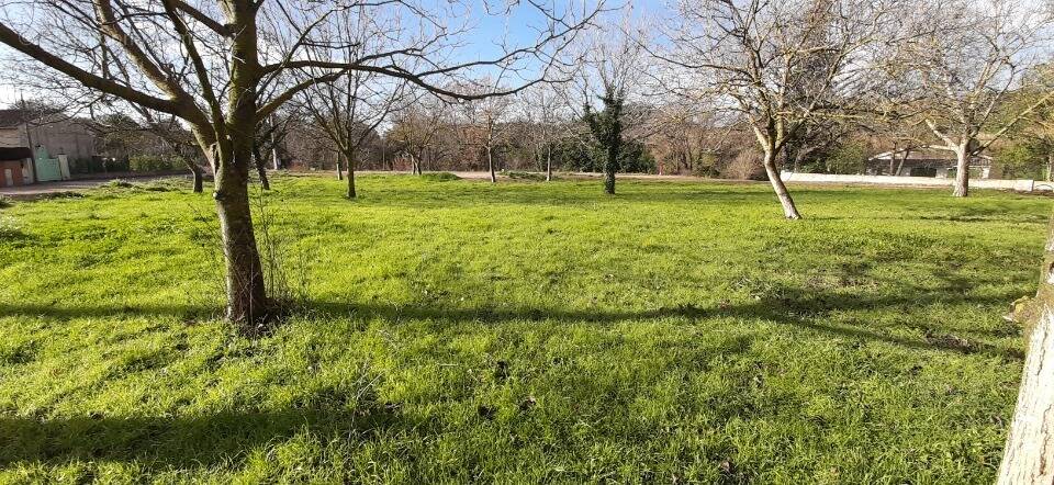 Terrain à LA MOTTE