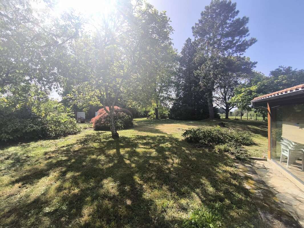 Maison de charme à Sainte-Marie-de-Vaux avec 1ha terrain - photo 3