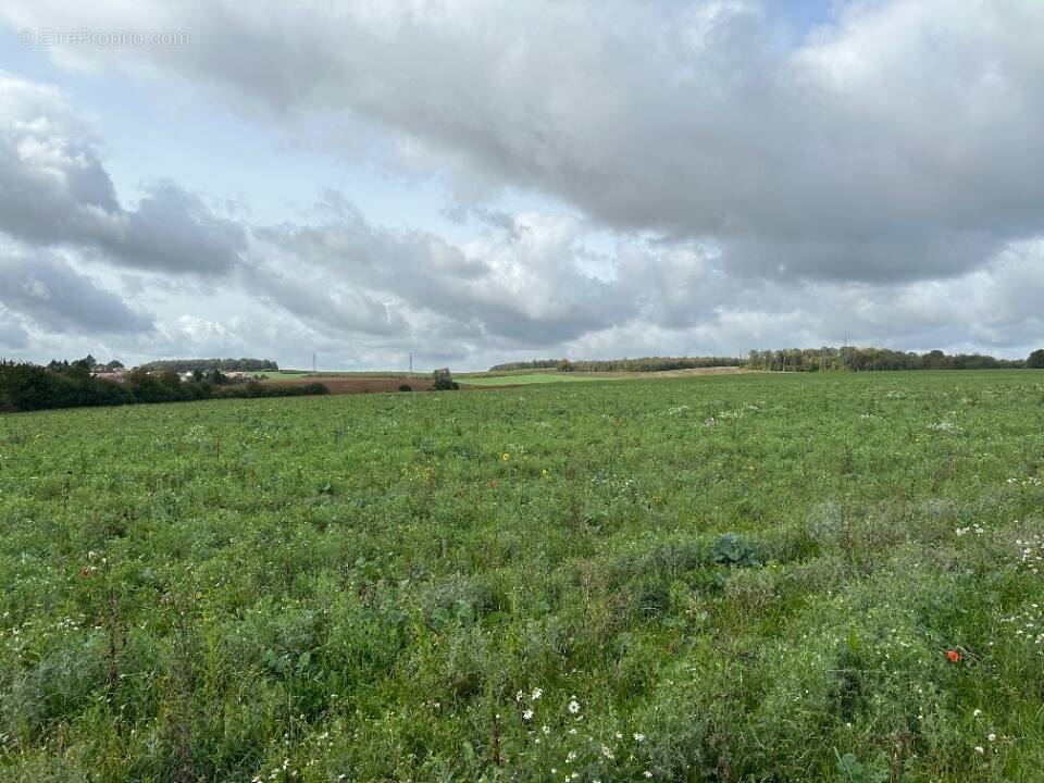 Terrain à THIONVILLE