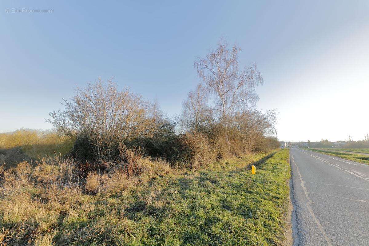 Terrain à PRESLES-EN-BRIE