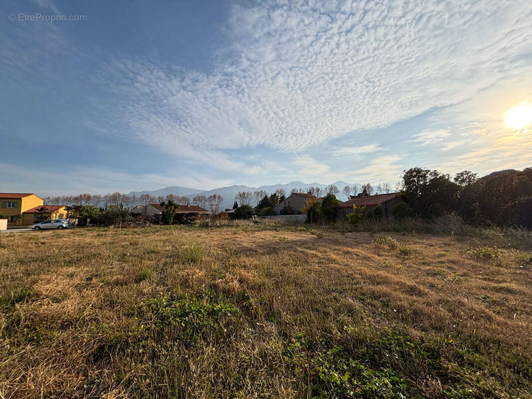 Terrain à MONTESQUIEU-DES-ALBERES