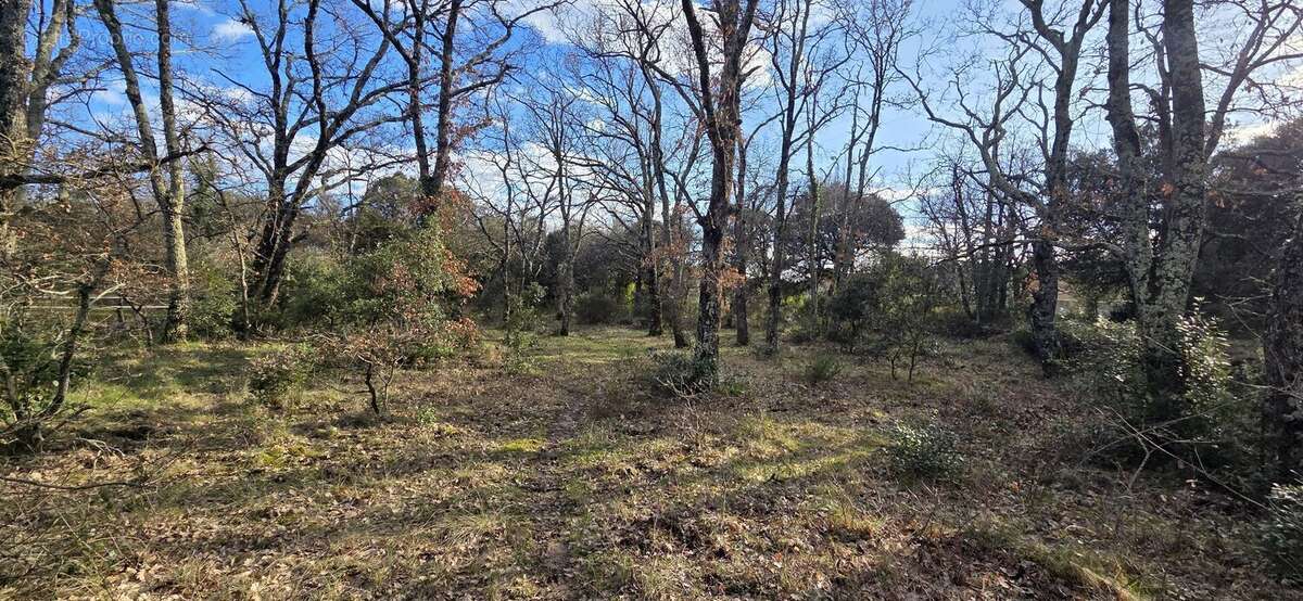 Terrain à SAINT-QUENTIN-LA-POTERIE