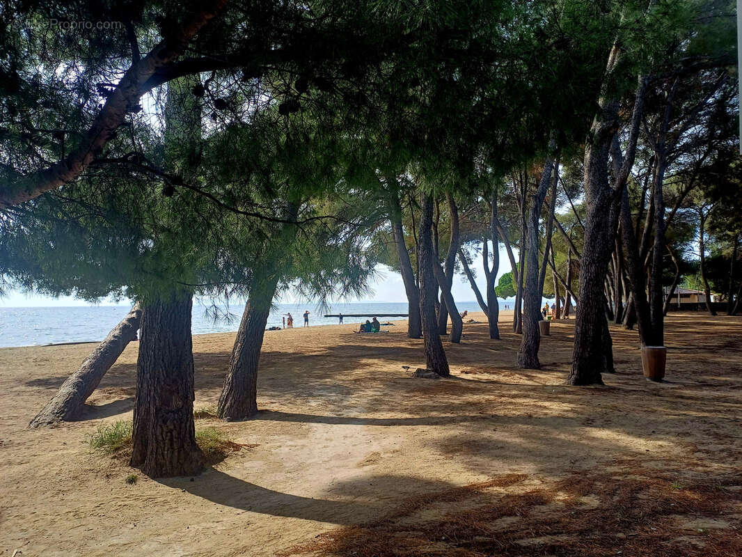 Maison à LA LONDE-LES-MAURES