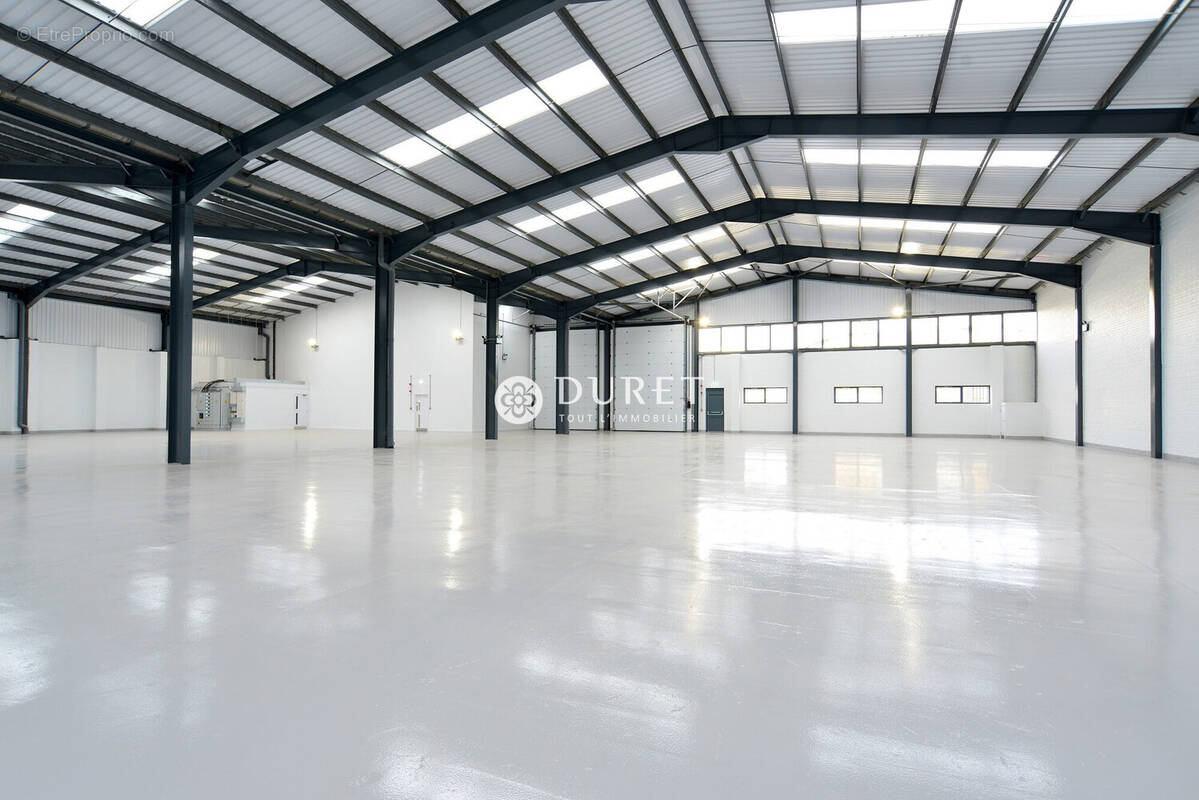 Commerce à MONTAIGU