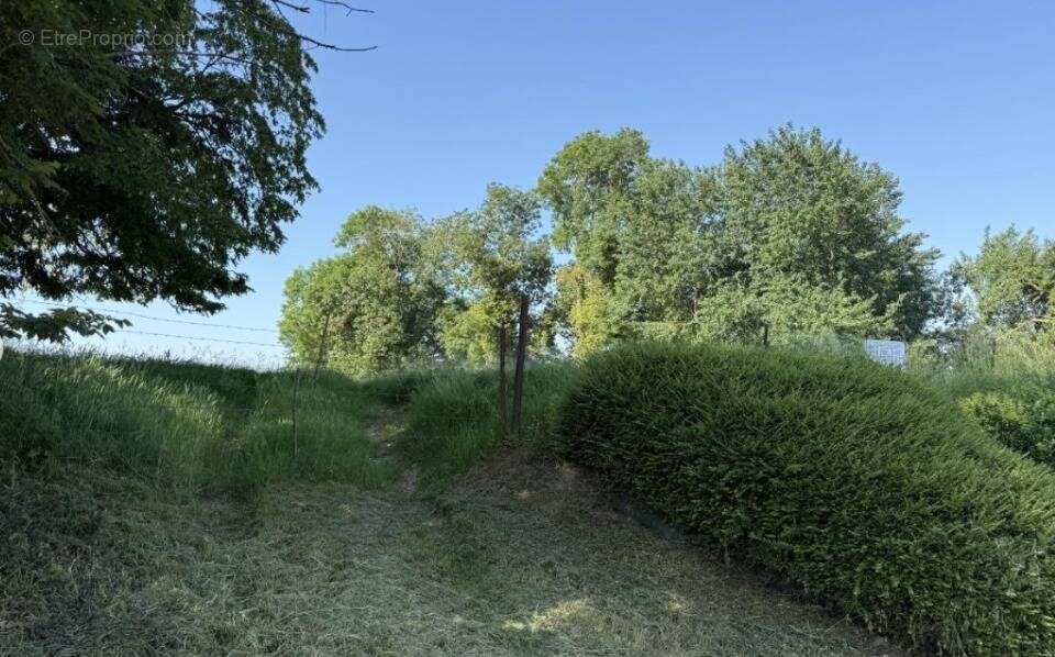 Terrain à ESTOURMEL