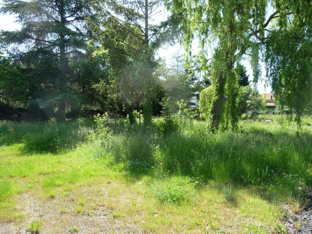 Terrain à SAVIGNEUX
