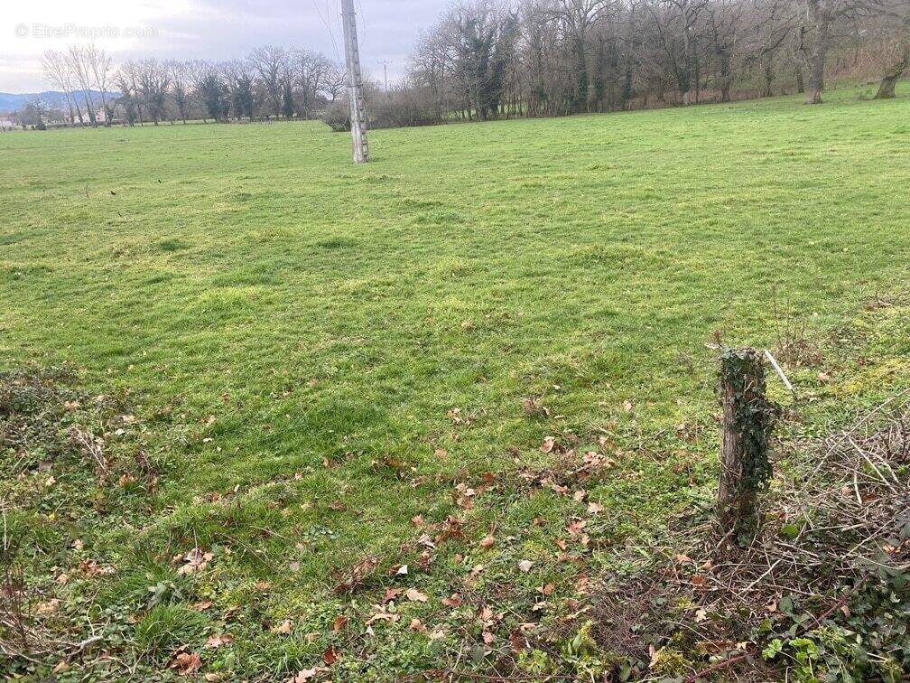 Terrain à CLERMONT-FERRAND