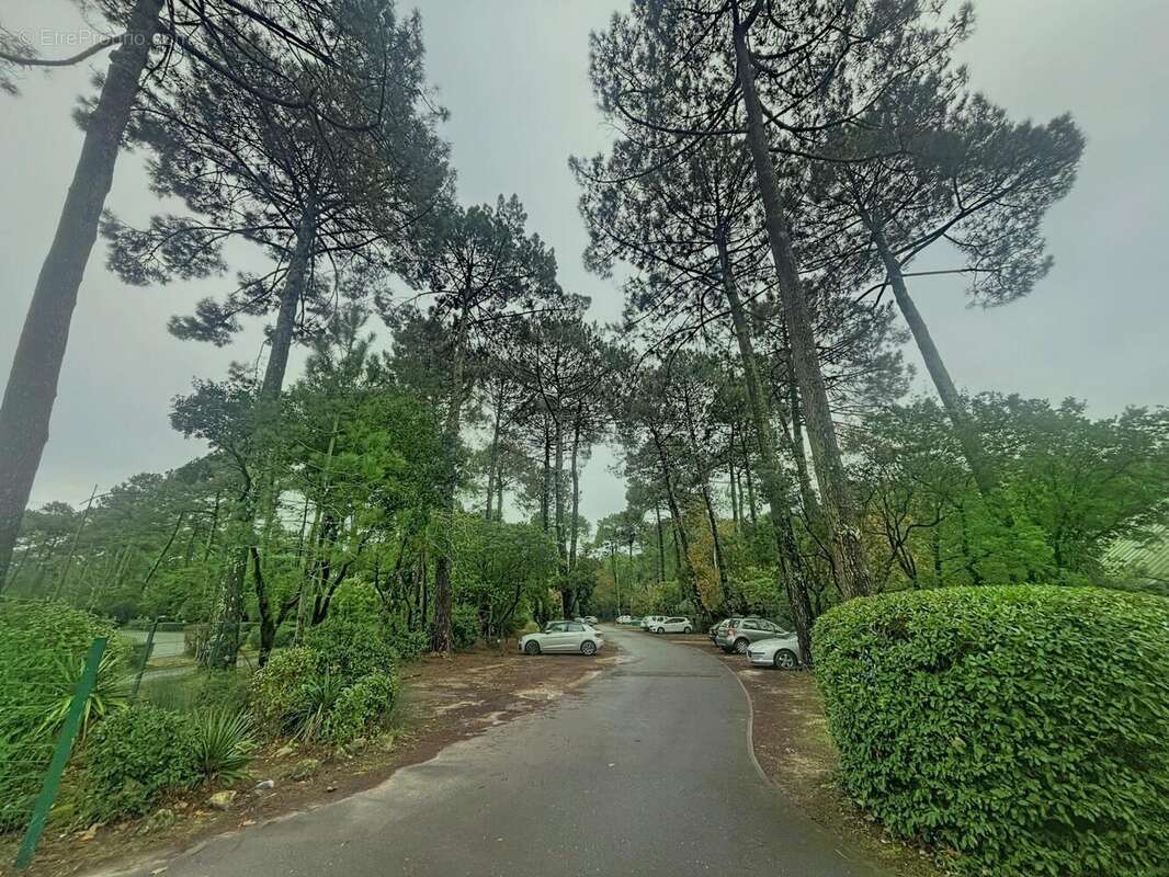 Photo 5 - Appartement à LEGE-CAP-FERRET