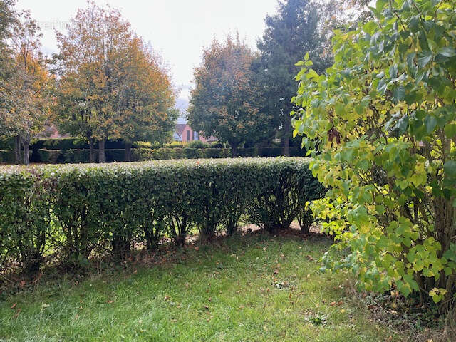 Appartement à BOIS-GUILLAUME