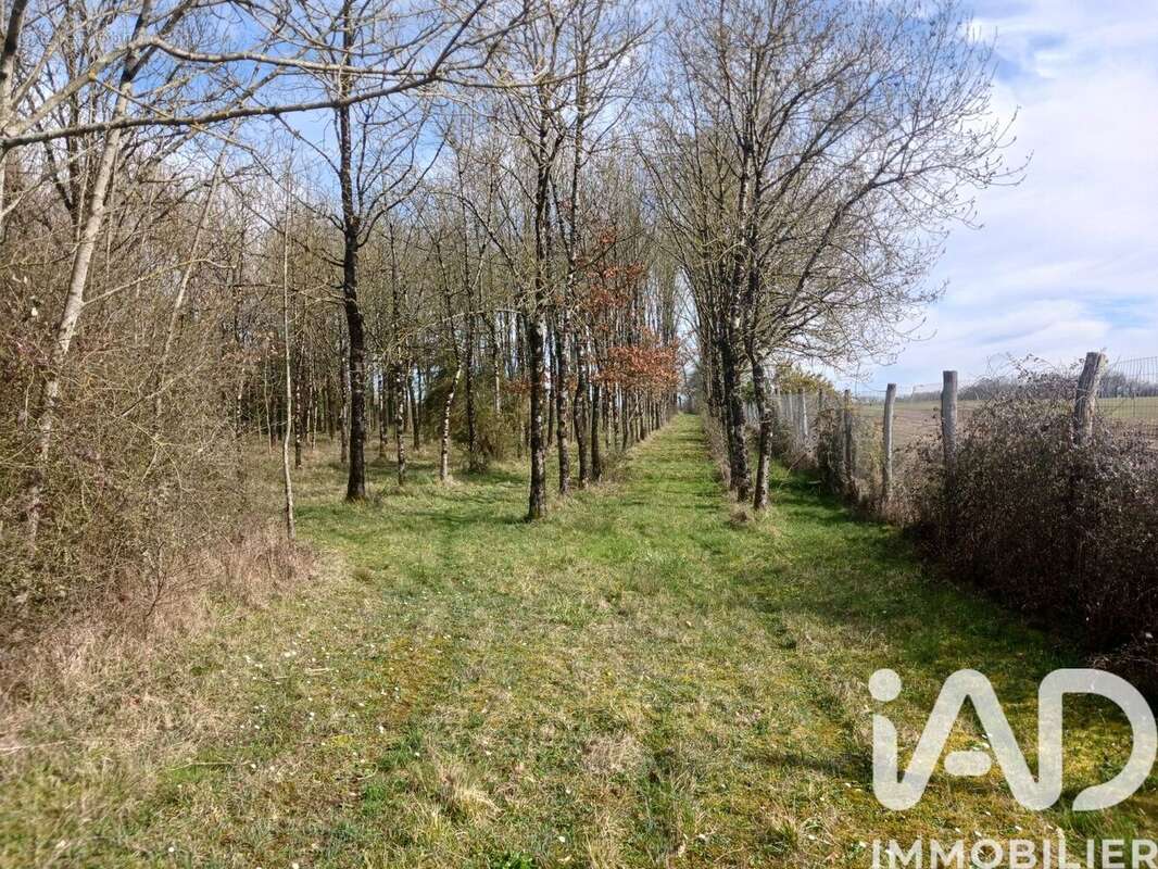 Photo 4 - Terrain à USSON-DU-POITOU