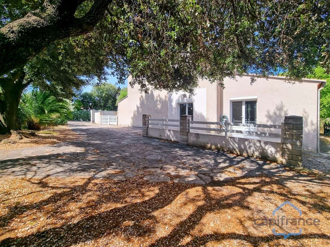 Maison de 212m² avec 6 pièces et une dépendance T2 - Terrain arboré de 800m² - Garage - Restinclières (34160) - photo 2