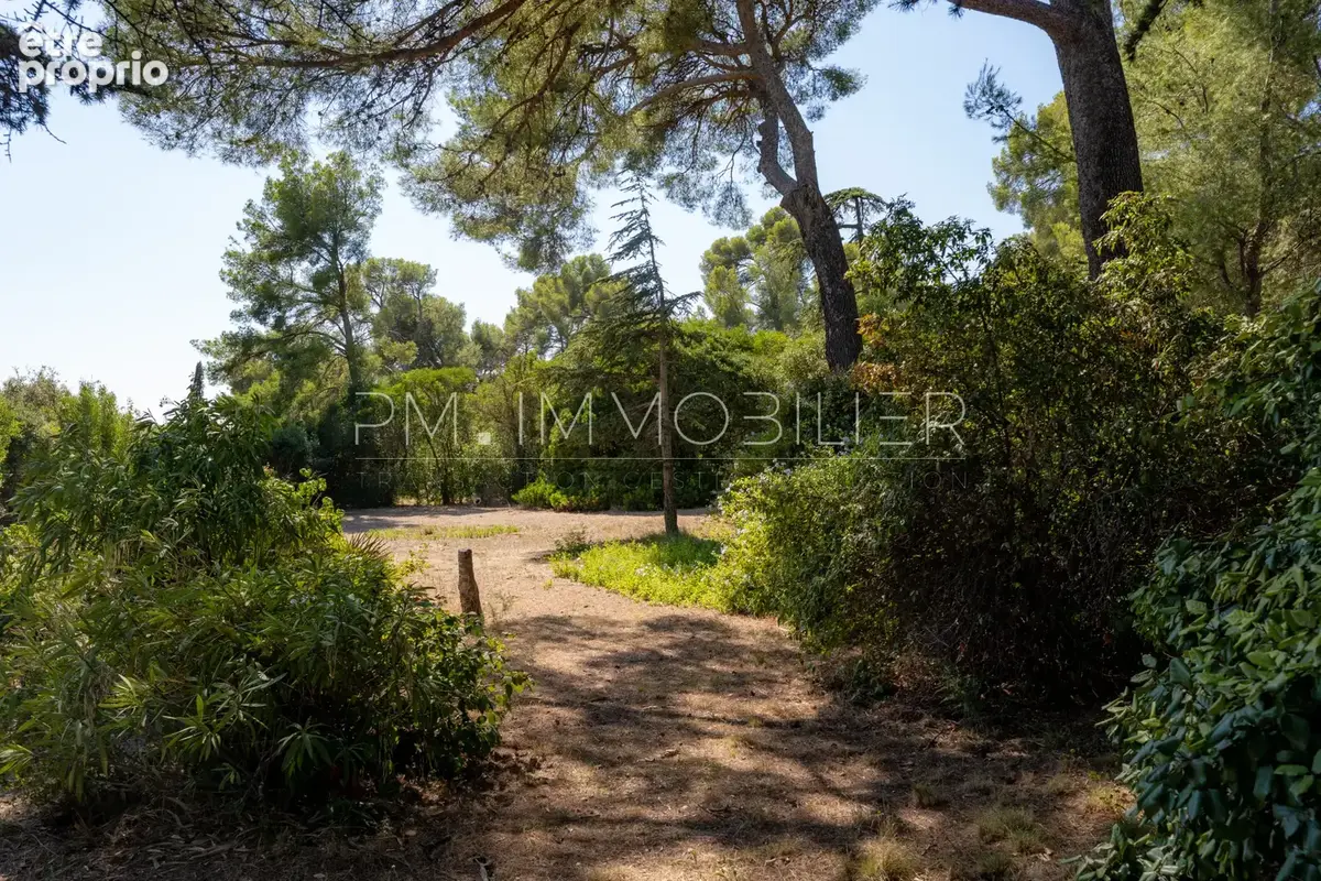 La bastide des cèdres - photo 4
