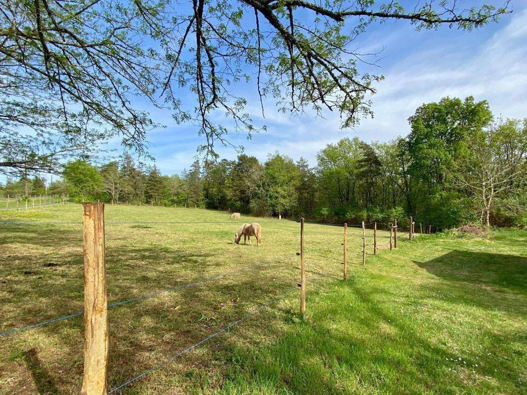 Maison à SAINTE-ALVERE