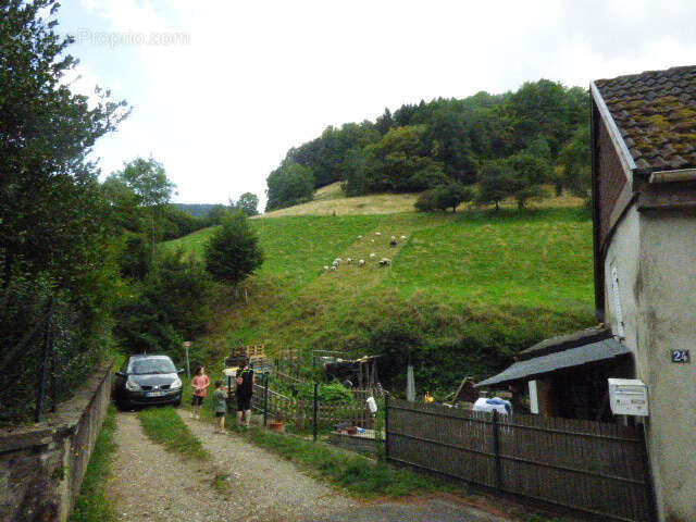 Maison à SAINTE-MARIE-AUX-MINES