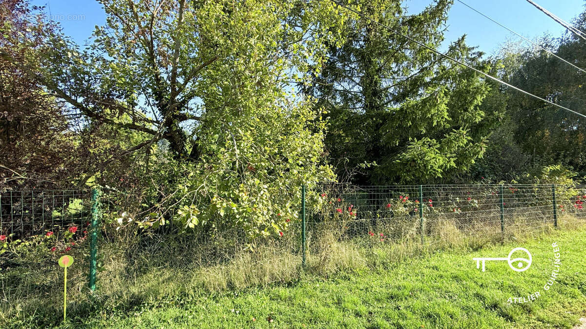 Terrain à OUZOUER-LE-MARCHE