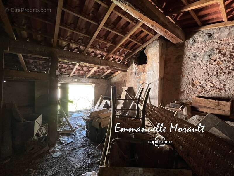 Commerce à BAGNOLS-EN-FORET