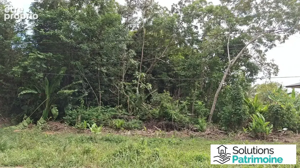 Terrain 10 000 m² à vendre à Montsinery-Tonnegrande (97356) - photo 2