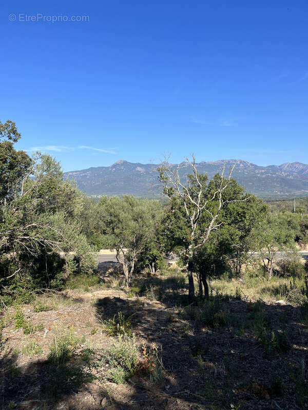 Terrain à FIGARI