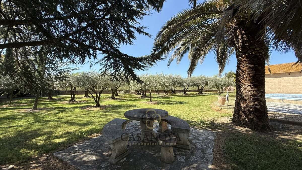 Maison vigneronne avec dépendances, piscine et terrain arboré entre Montpellier et Béziers - photo 6