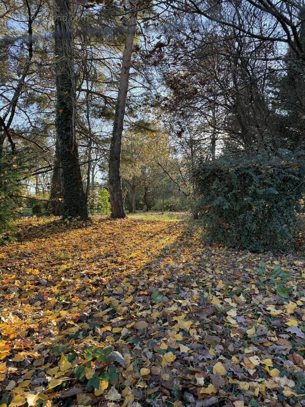 Terrain à CHEVANNES