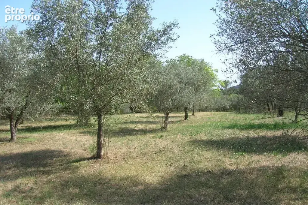 Mas cevenol du xv éme siècle position dominante,Idéalement situé à 5 mn d'Anduze et 15 mn d'Alès, superbe prop - photo 16
