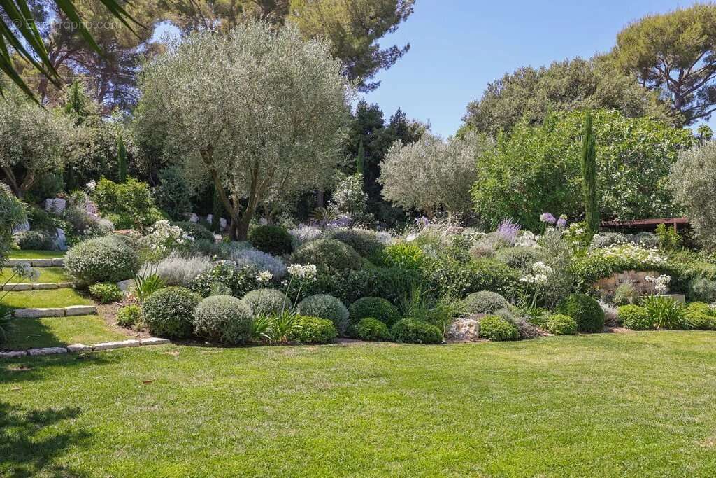 Le Cannet - Quartier résidentiel - Elégante villa de plain-pied avec jardin luxuriant , piscine. Calme absolu - photo 36